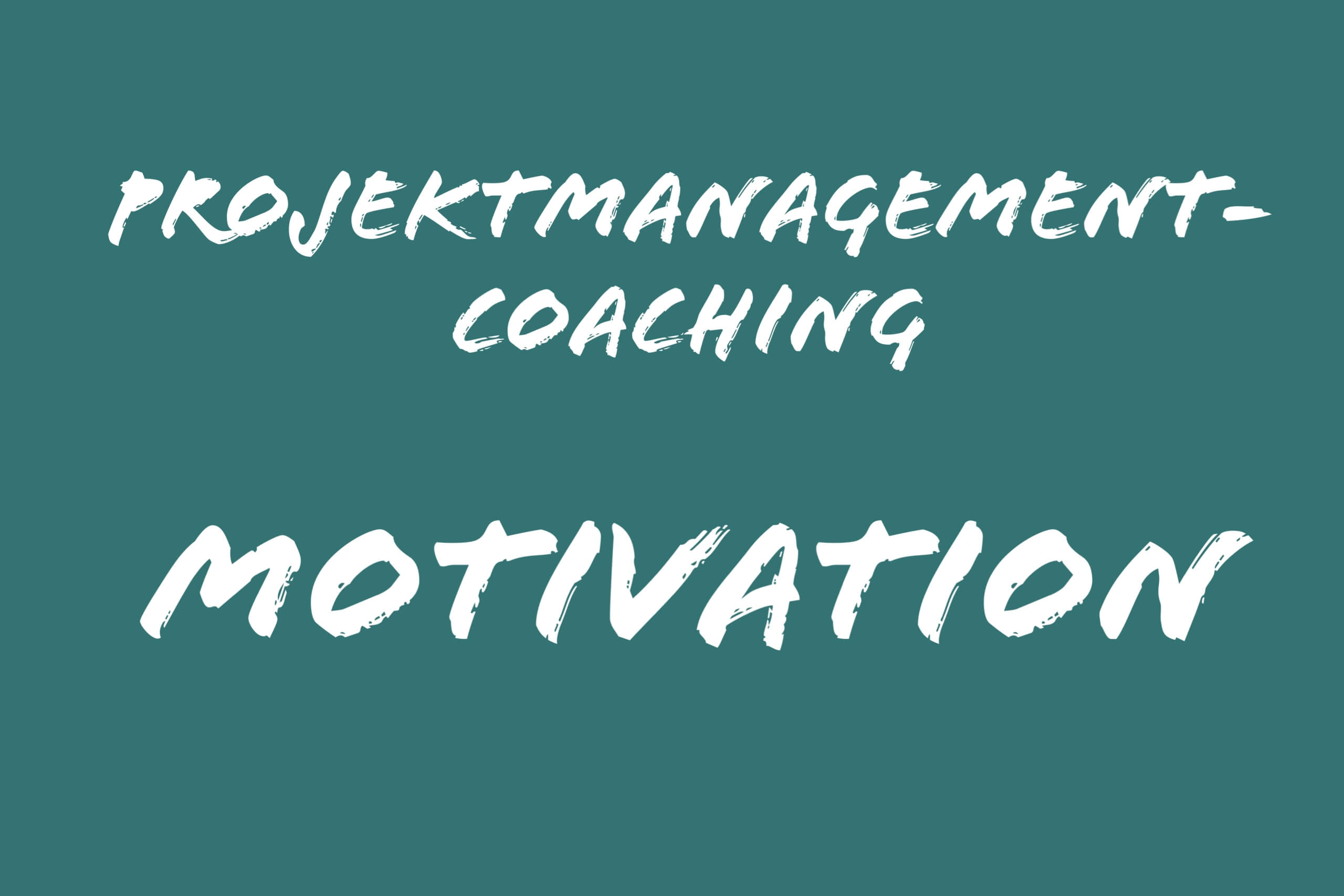 Text Projektmanagement-Coaching Motivation