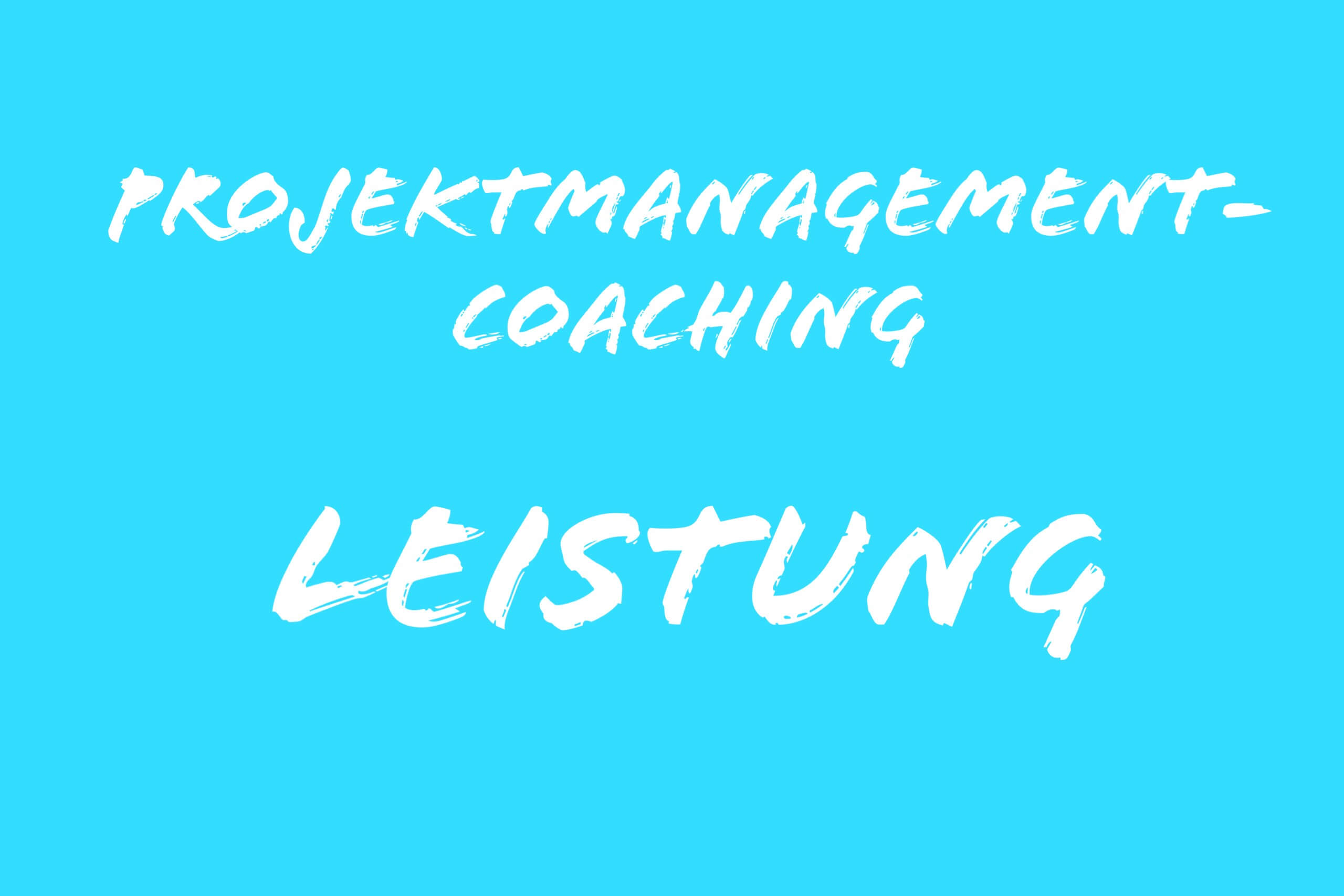 Projektmanagementcoaching Leistung